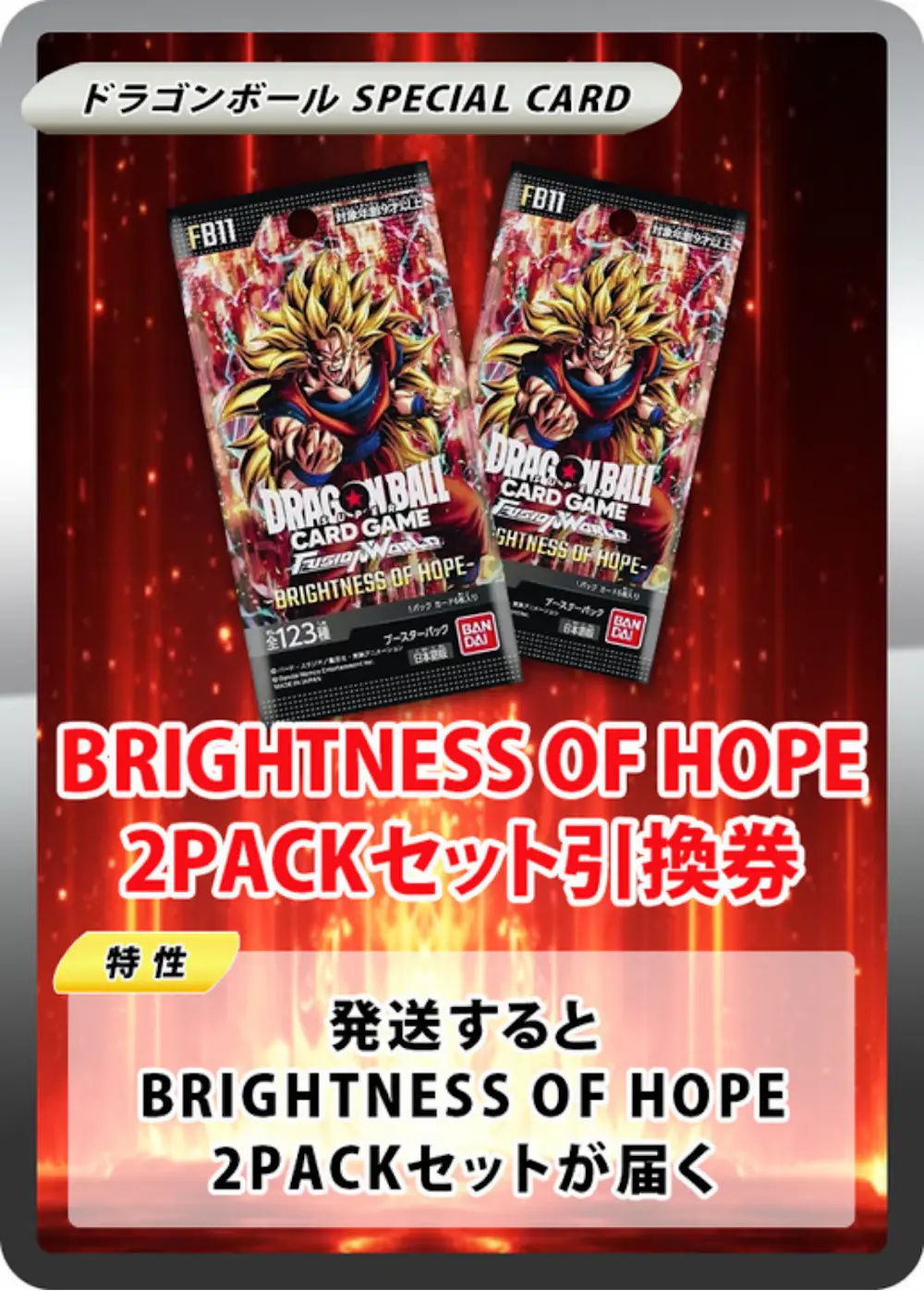 BRIGHTNESS OF HOPE(2PACK)
