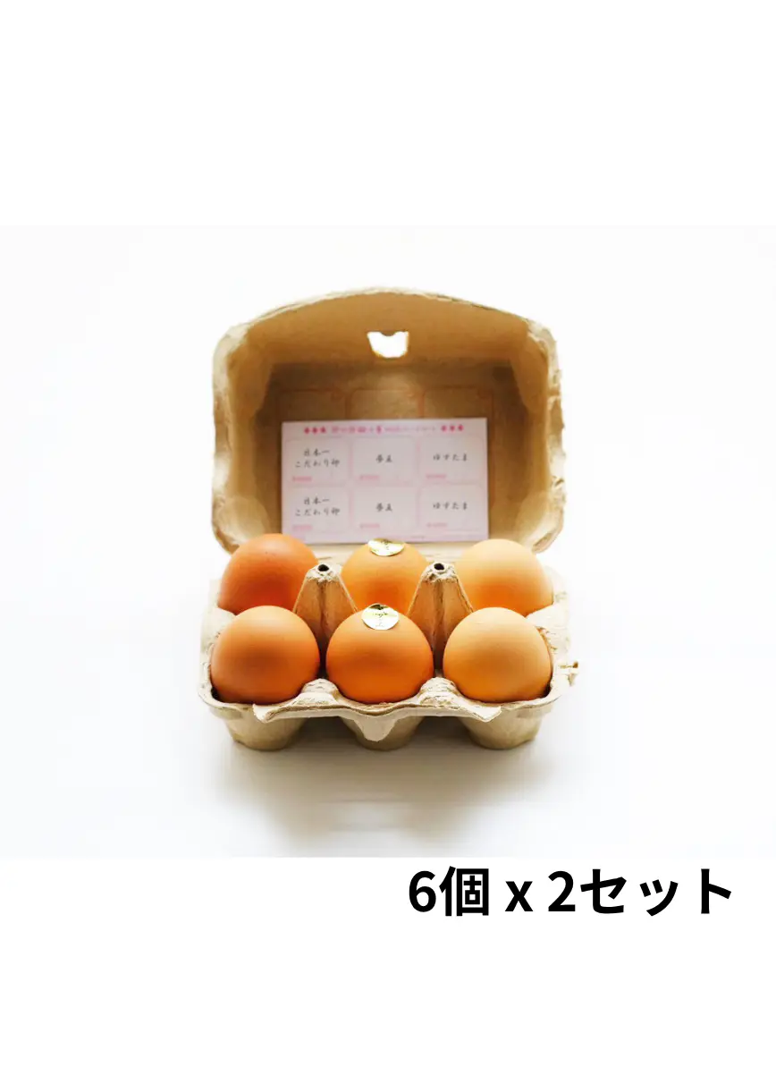 全国厳選ブランドたまご6種通販セット 12個