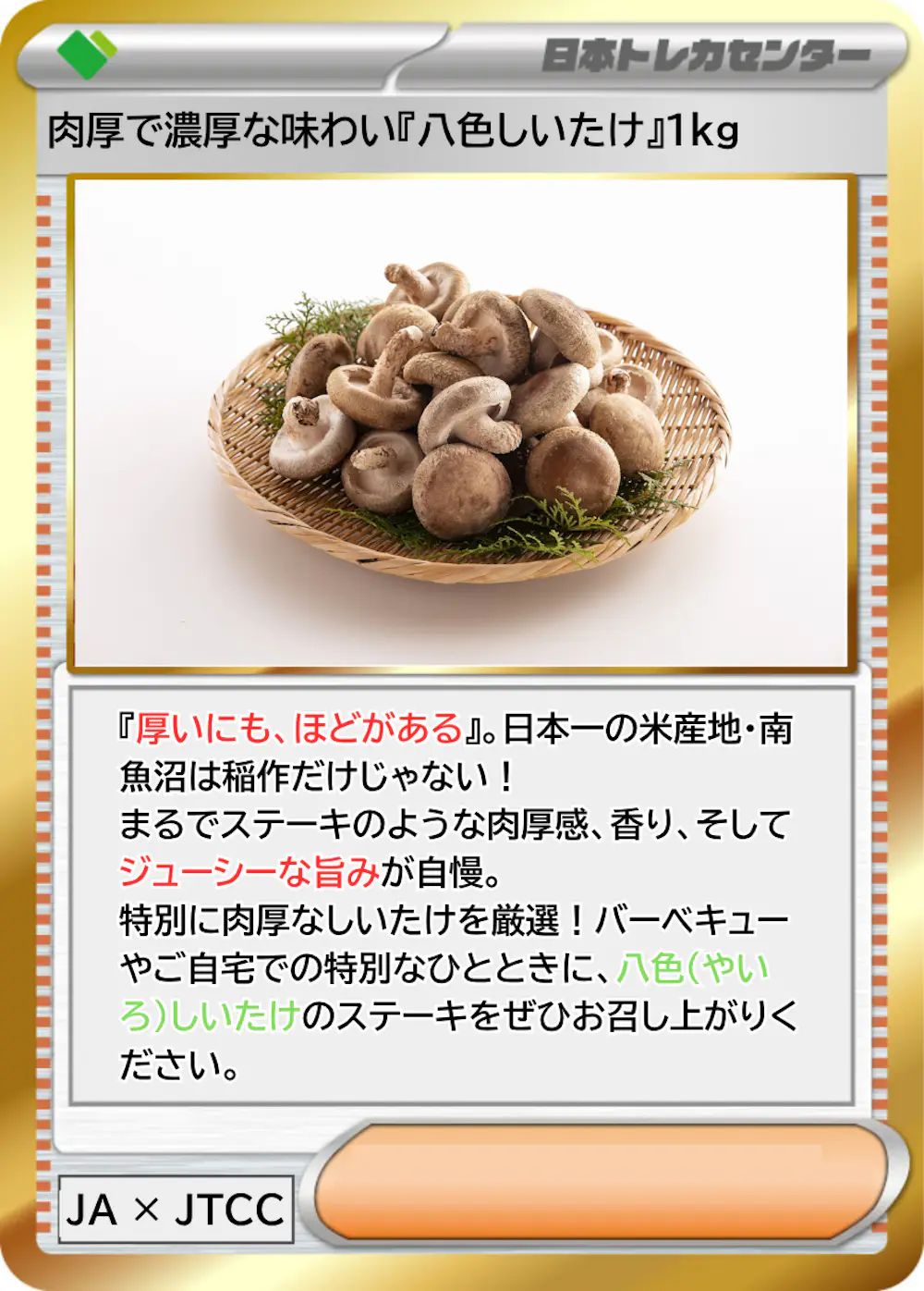 肉厚で濃厚な味わい『八色しいたけ』1kg