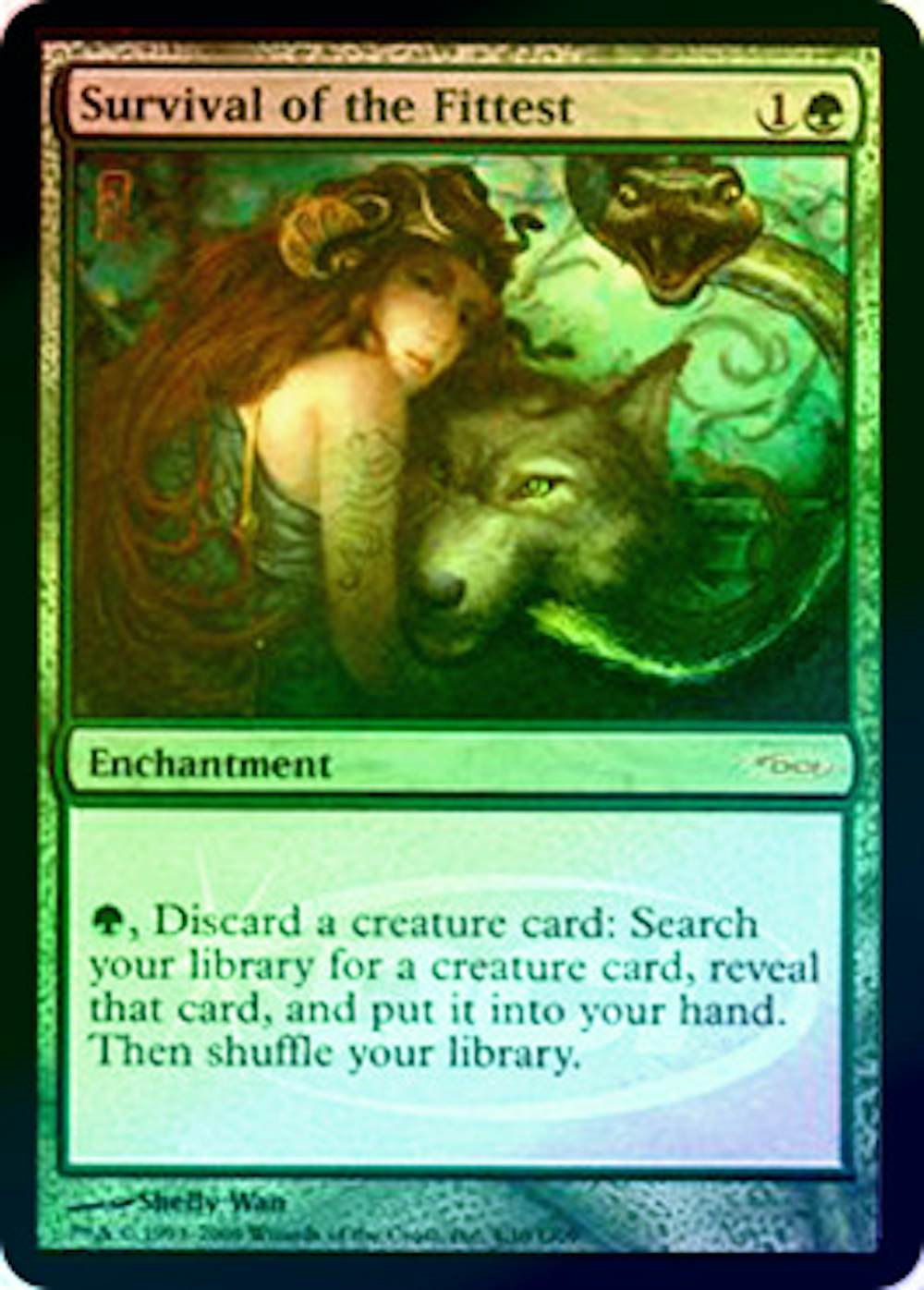 【Foil】適者生存