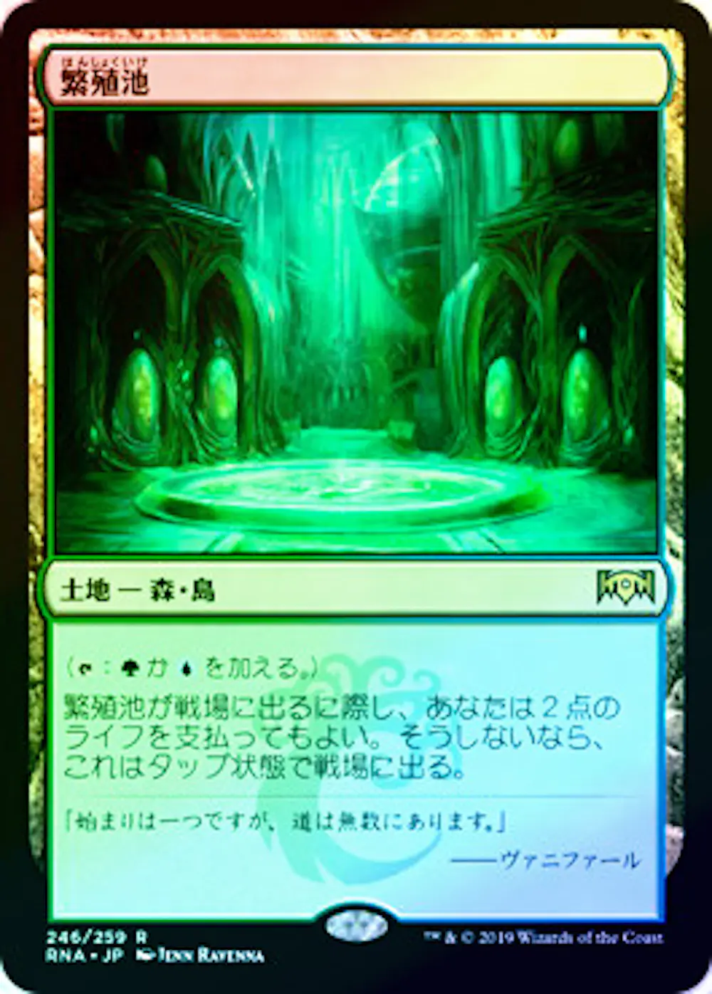 【Foil】繁殖池