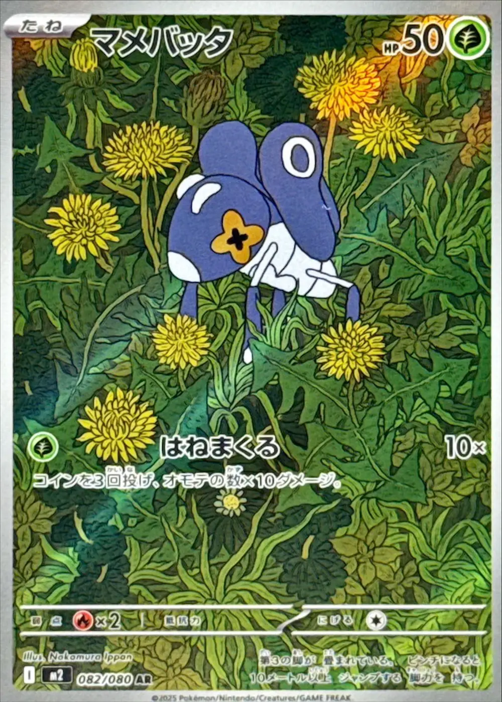 マメバッタ