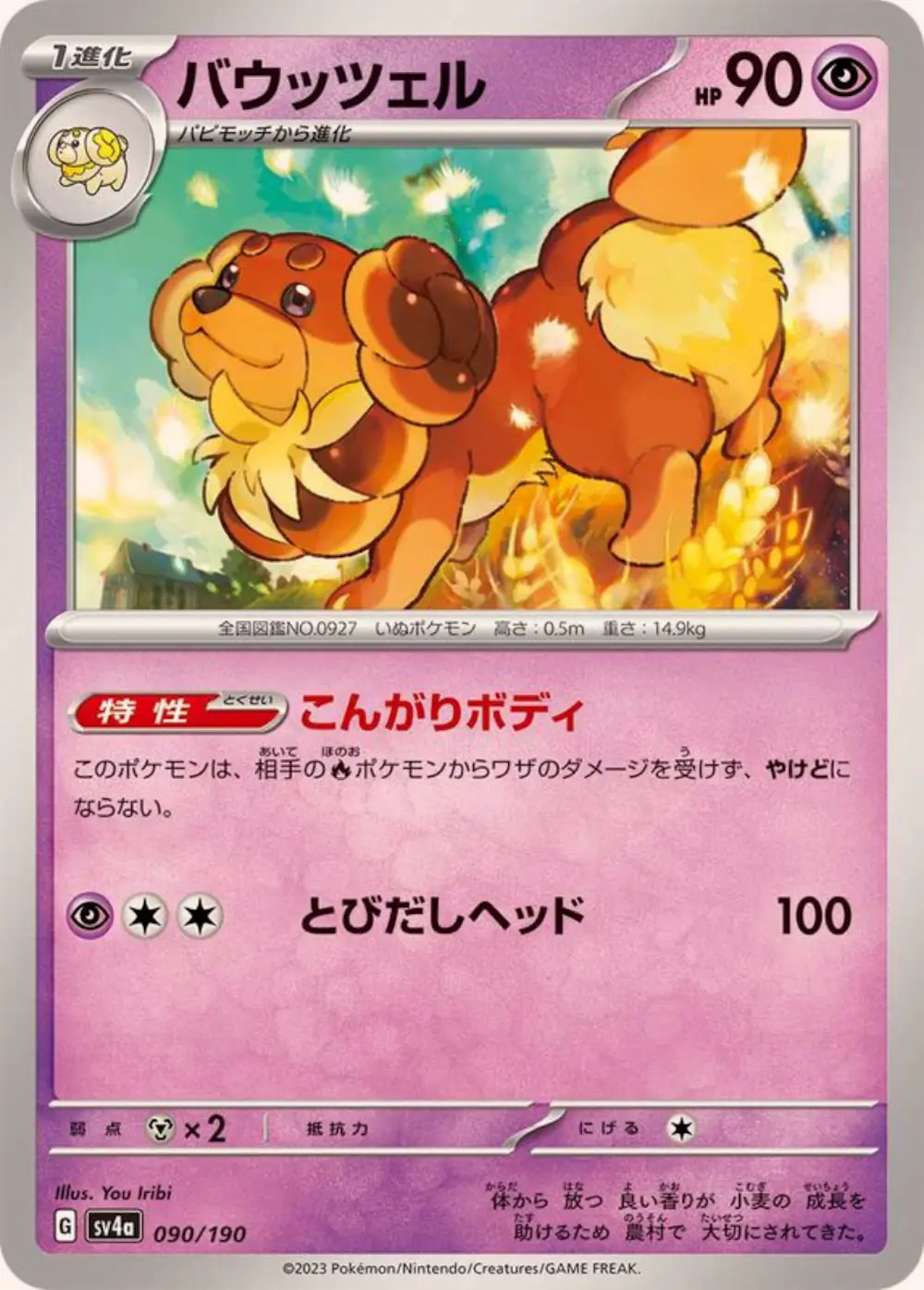バウッツェル