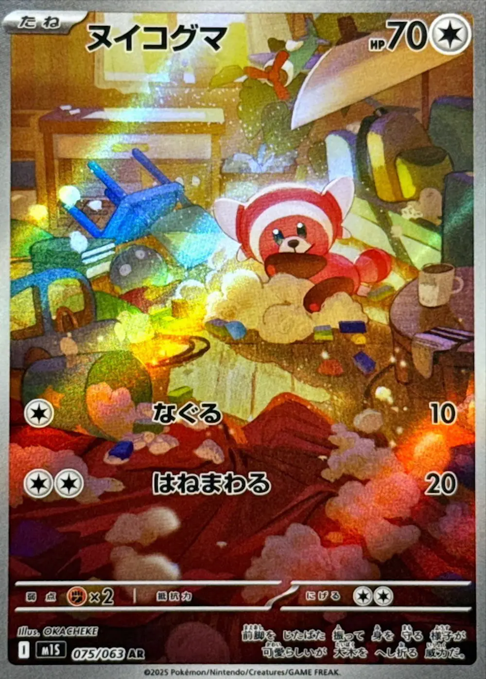 ヌイコグマ