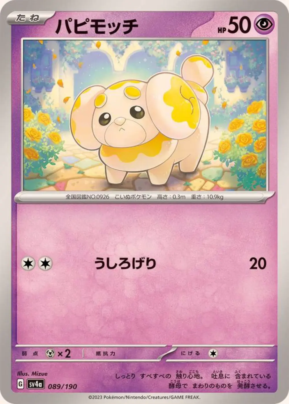 パピモッチ