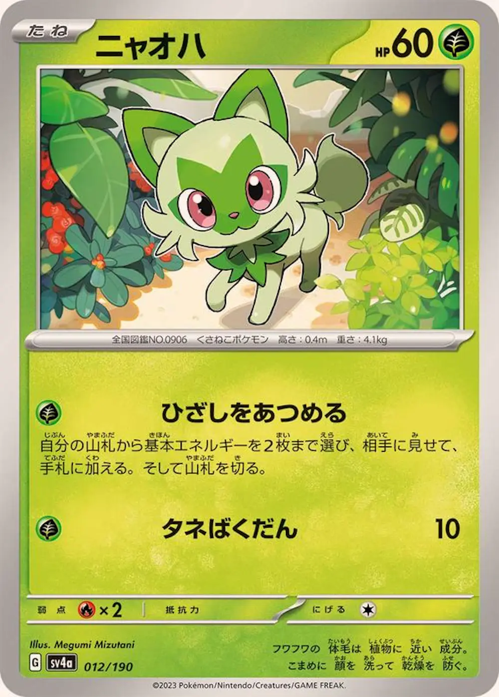 ニャオハ