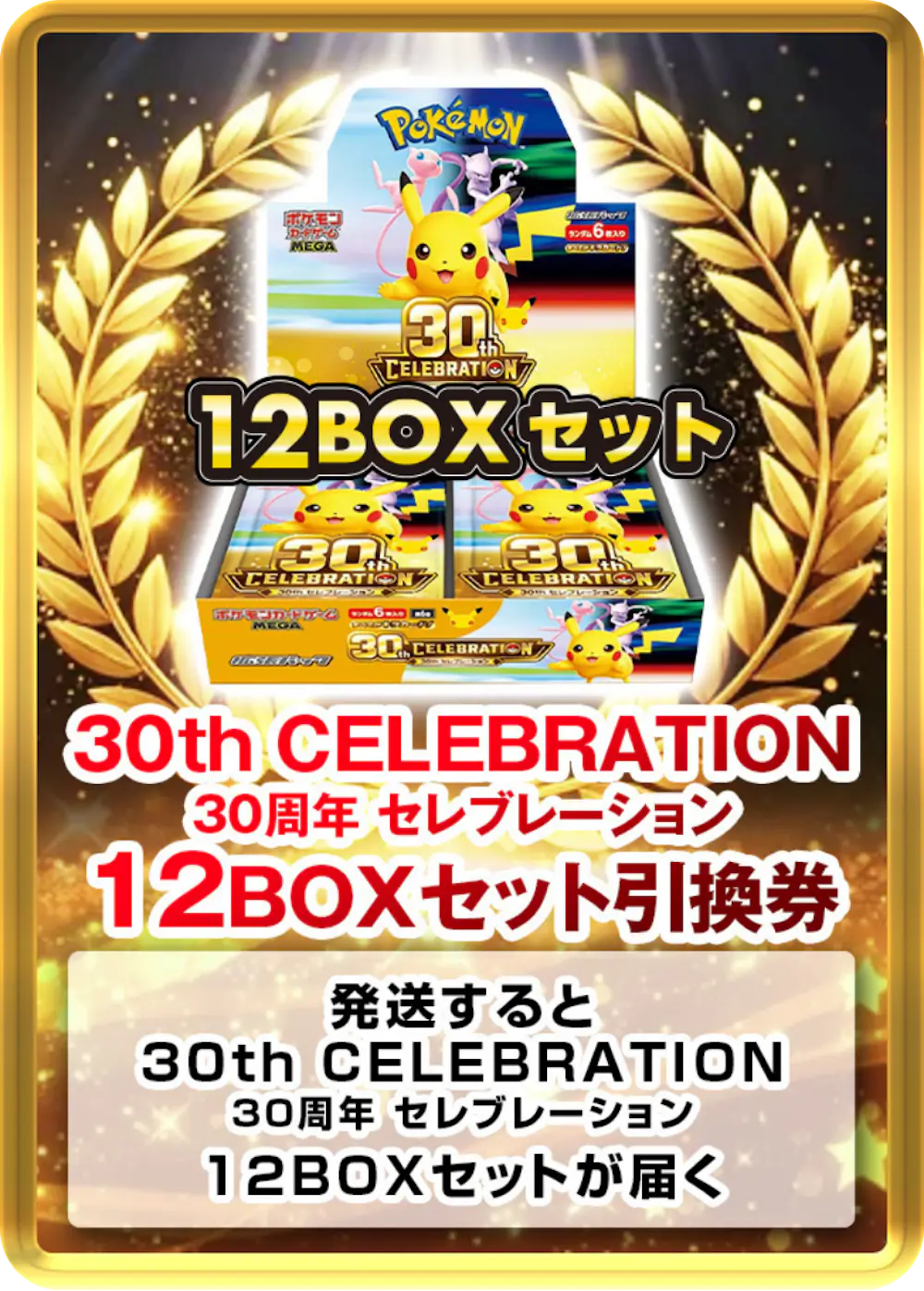 30th CELEBRATION 30周年 セレブレーション(12BOX)