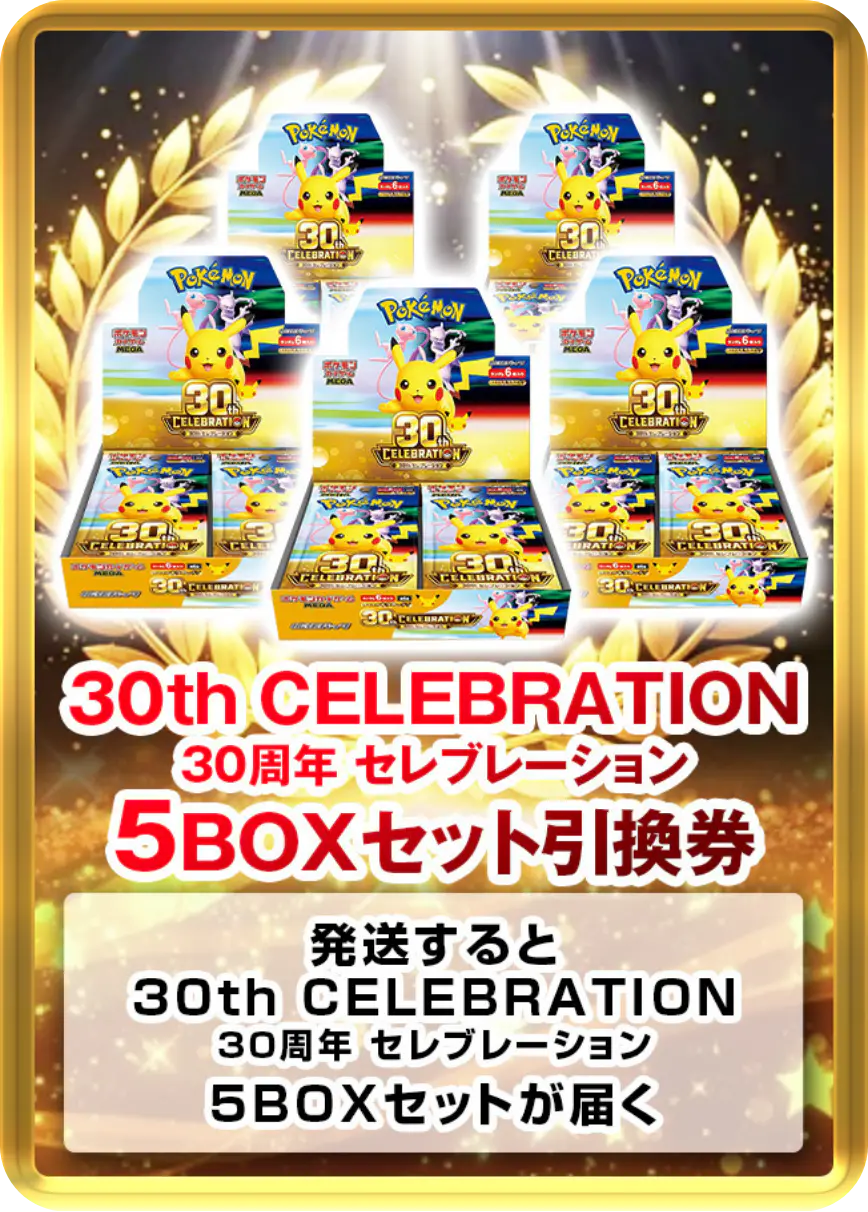 30th CELEBRATION 30周年 セレブレーション(5BOX)