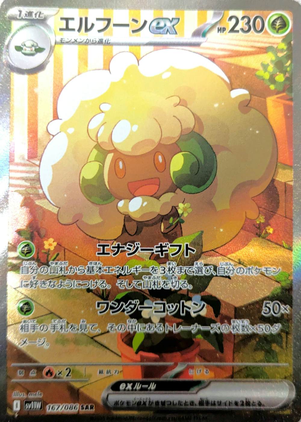 エルフーンex
