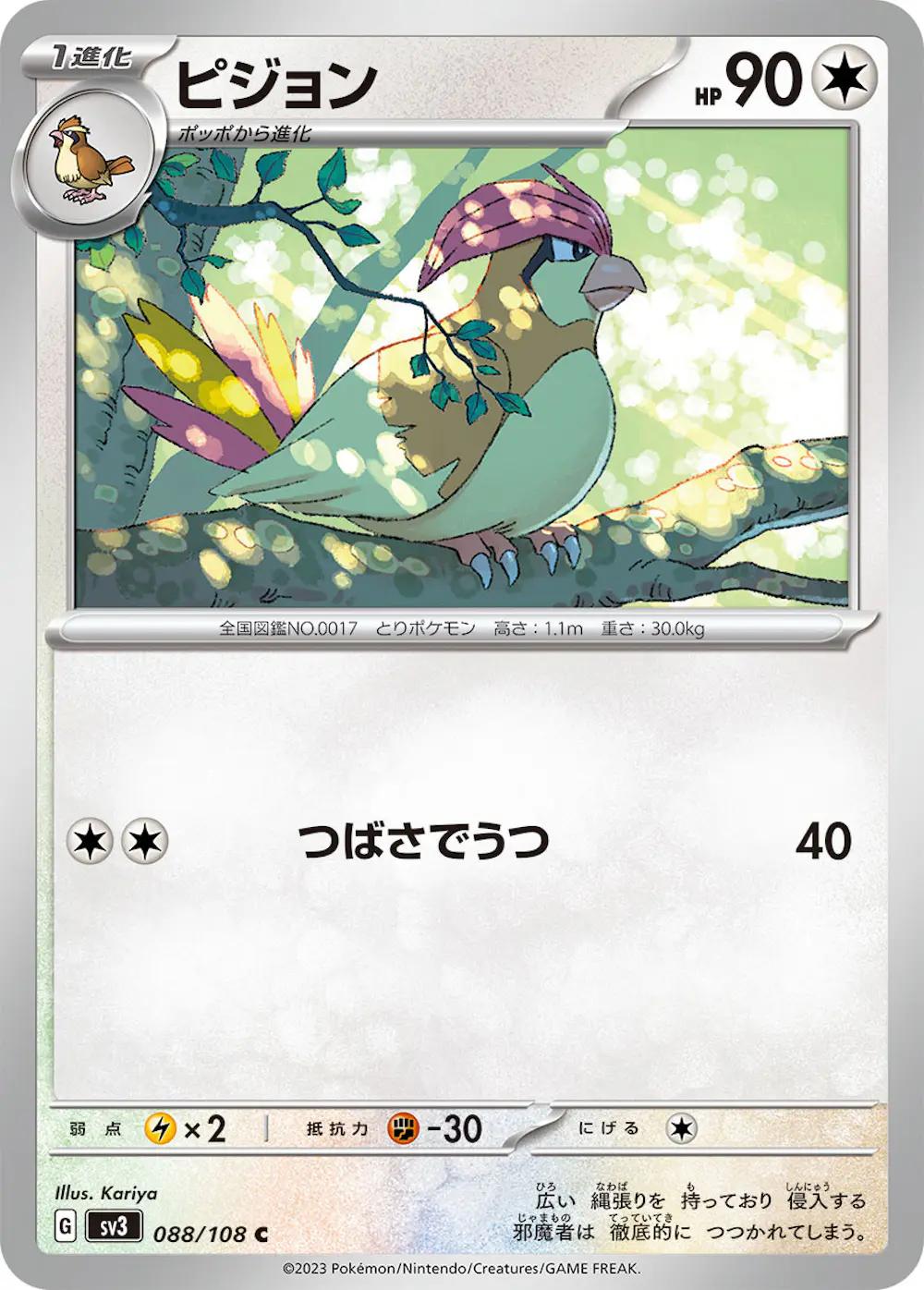 ピジョン