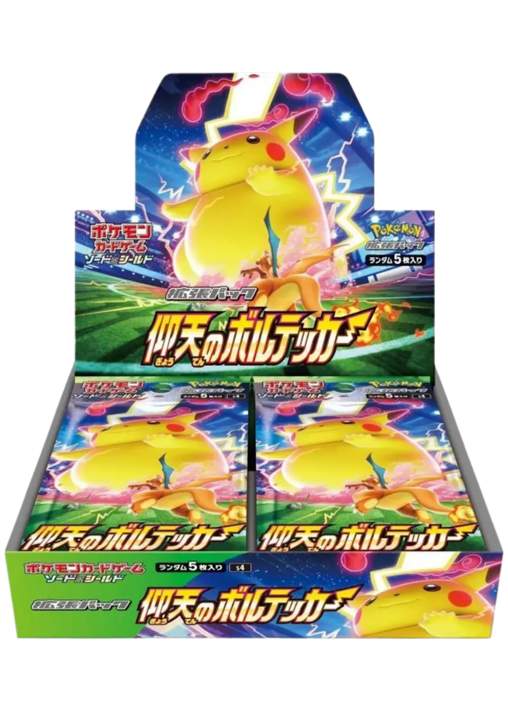 仰天のボルテッカー(1BOX)