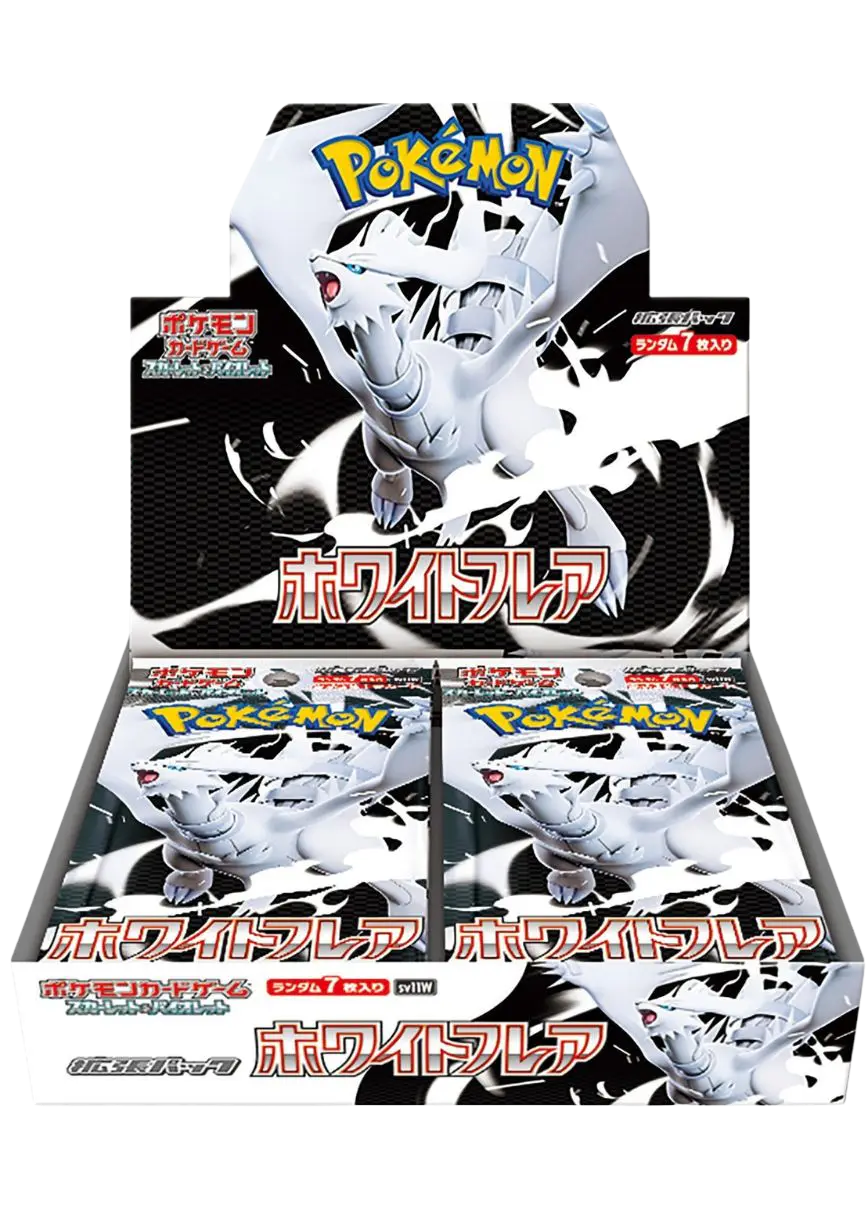 ホワイトフレア(1BOX)