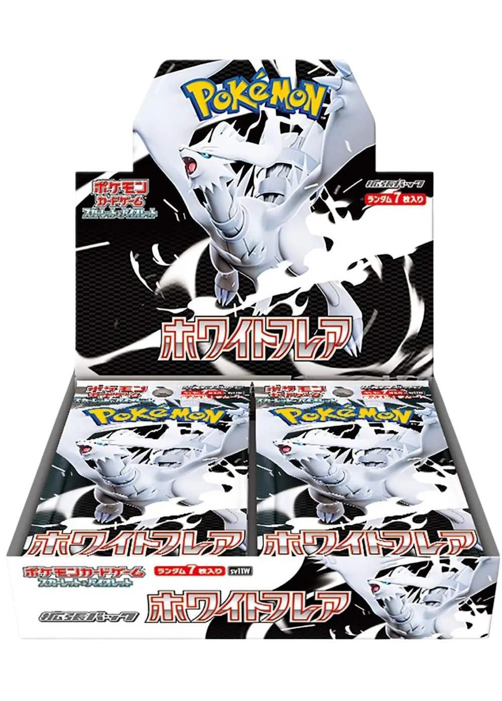 ホワイトフレア(1BOX)
