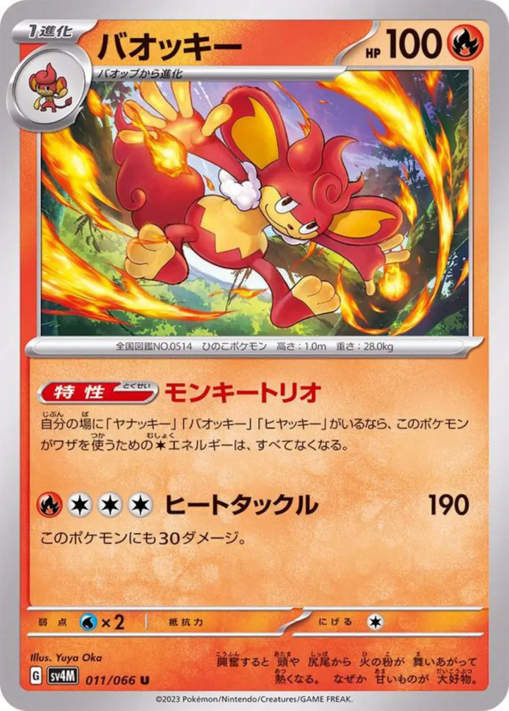 バオッキー