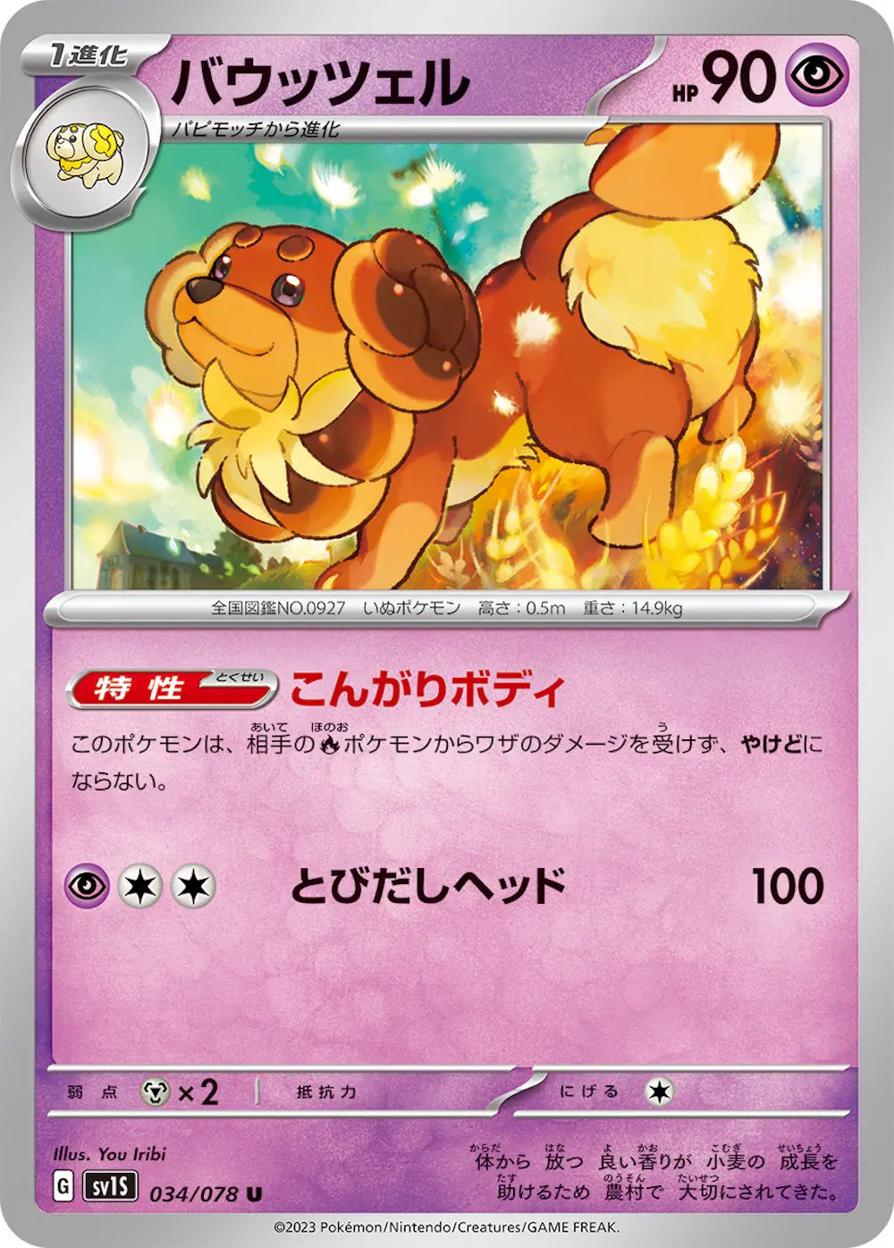 バウッツェル