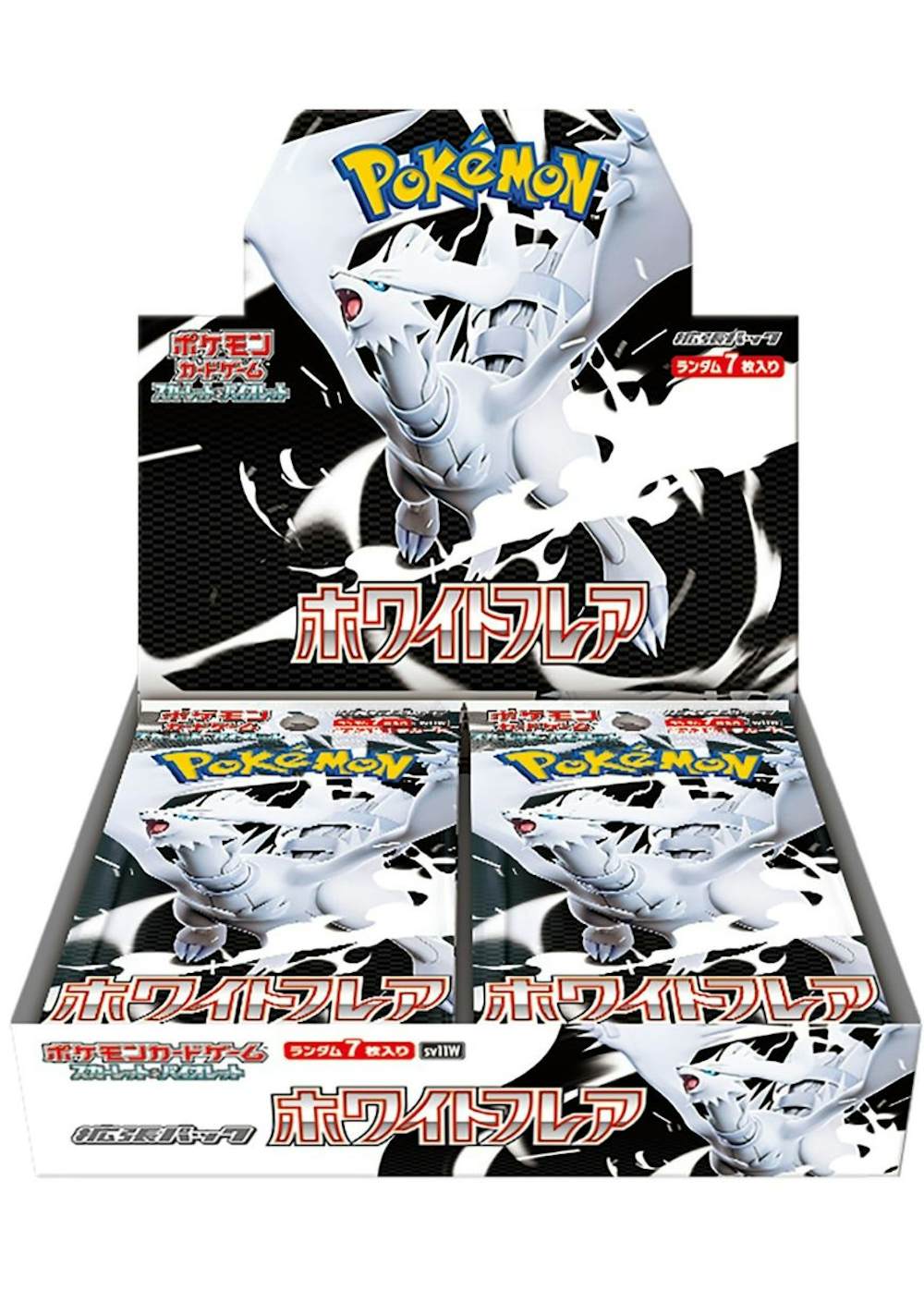 ホワイトフレア(1BOX)