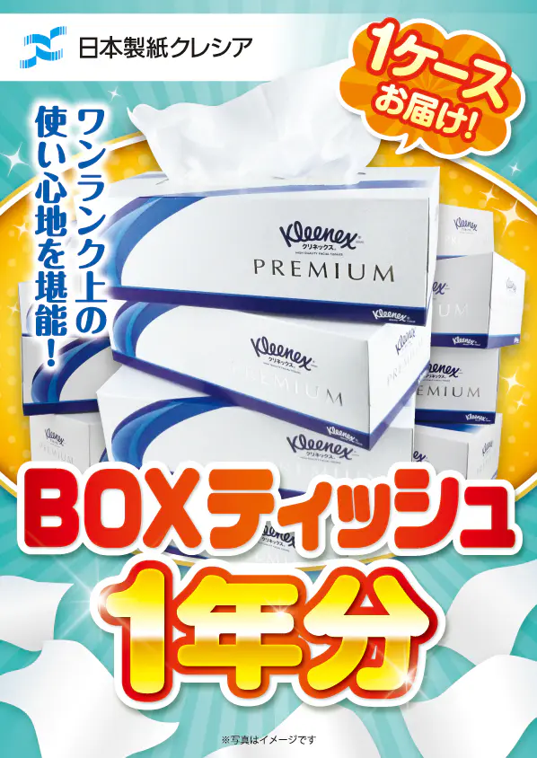クレシアBOXティッシュ1年分