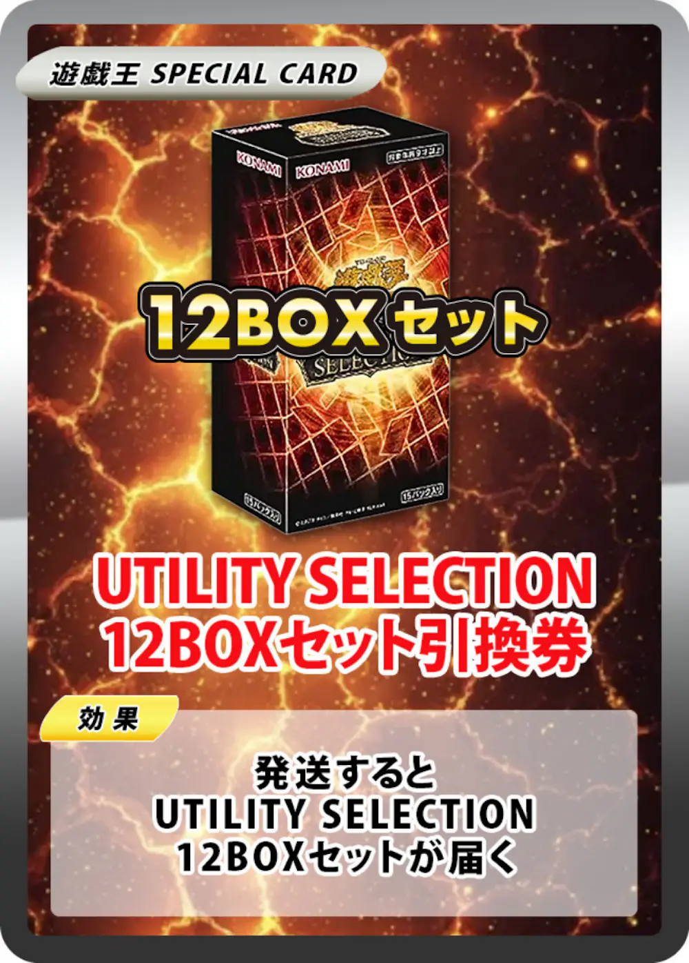 UTILITY SELECTION(12BOX)
