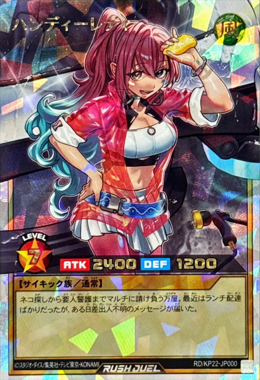 ハンディーレディ