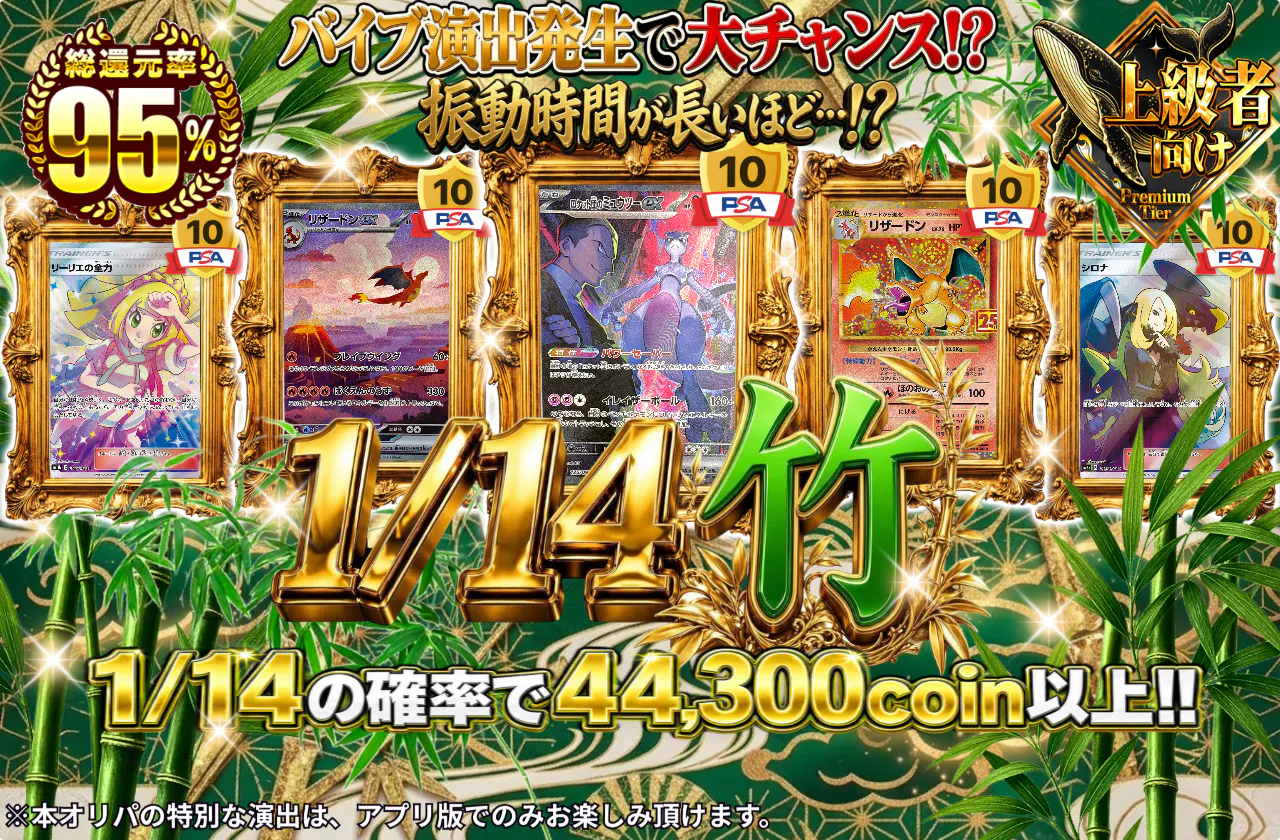 1/14 竹